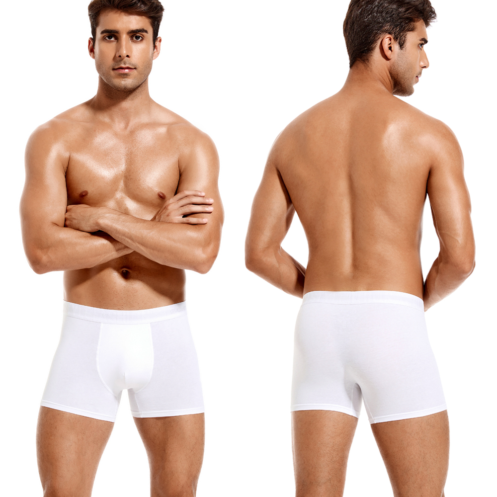 6pcs White Men Panties Cotton  - Multi Pack Underwear บทวิจารณ์และราคา