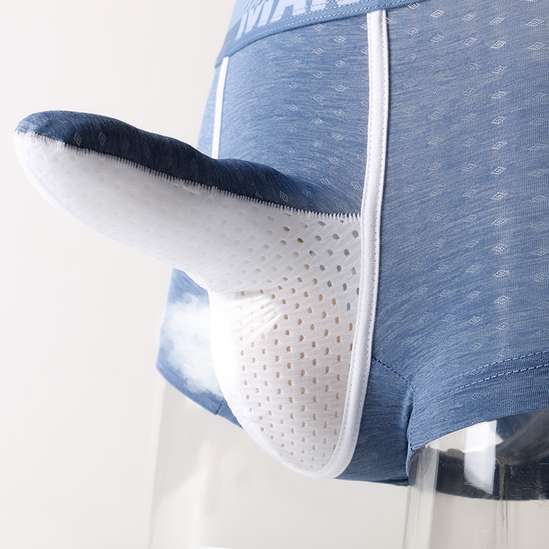 Men's Ice Silk Boxer Briefs, B - Mesh Sport Boxer บทวิจารณ์และราคา
