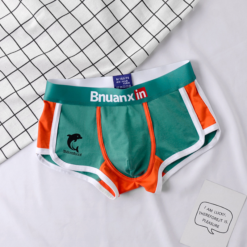 Man Underwear Fashion Youth Co - Boxer Brief Pack Cotton บทวิจารณ์และราคา