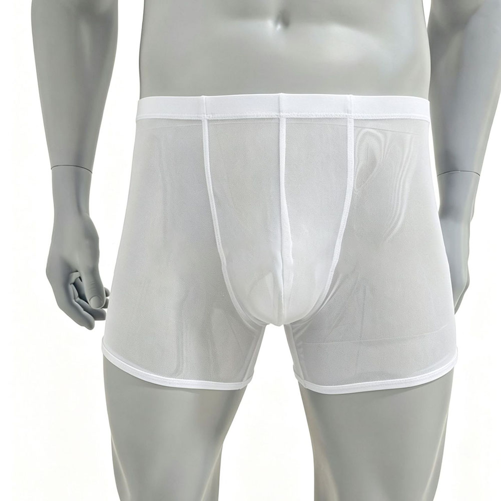 Men Mesh See-through Ultra-thi - Long Leg Trunk Men บทวิจารณ์และราคา
